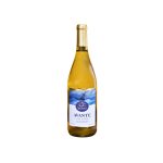 Botella de Casa Zamora Avante Sauvignon Blanc Palomino