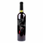 Botella de Mundano Nebbiolo Selección Cabernet Sauvignon 2020