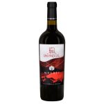 Botella de San Miguel Malbec